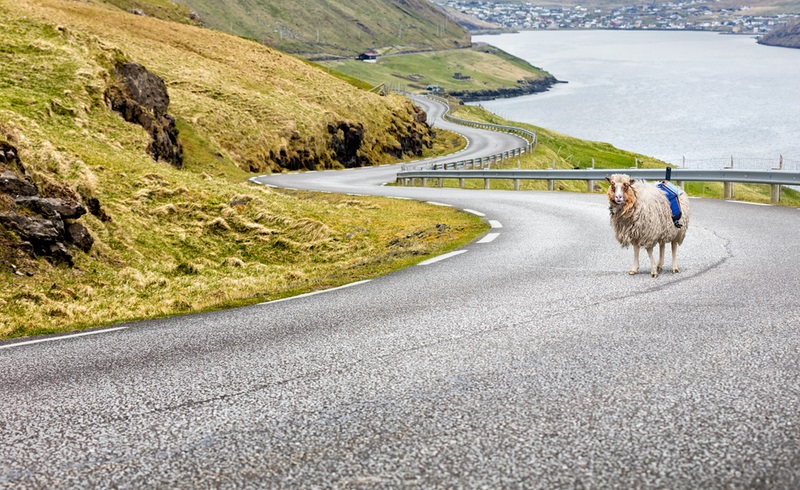 Le Mouton Google Street View