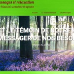 Site Web Animae